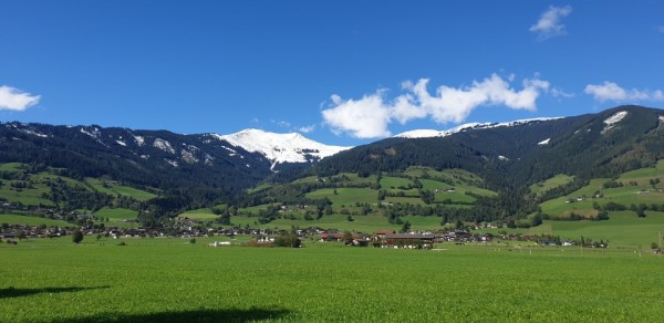 landschap.piesendorf